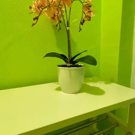 公寓 Gergana_apartament